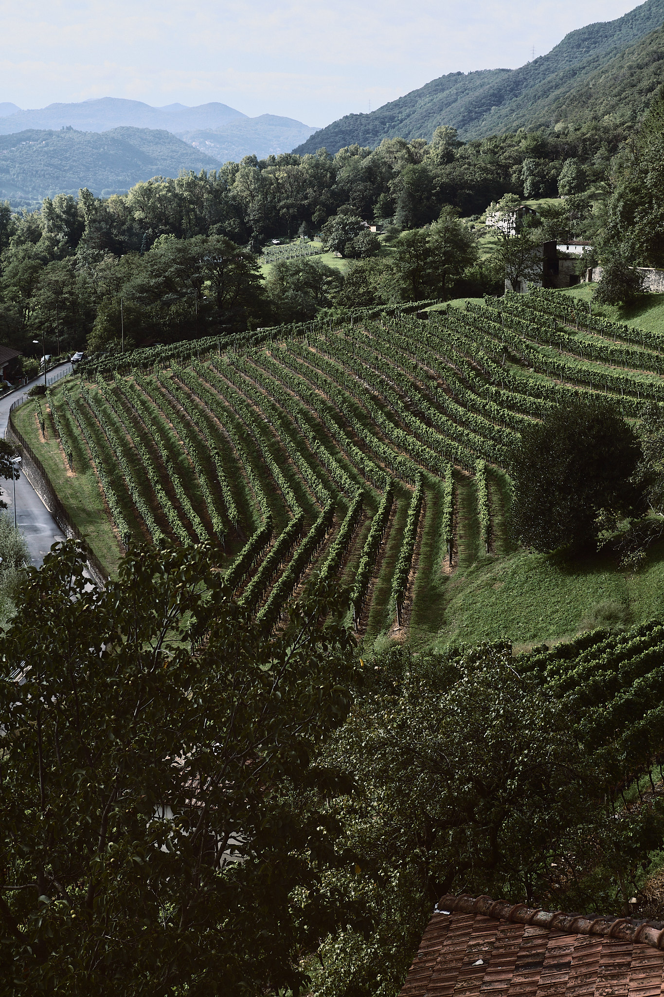 Luca Bertone - The Castle